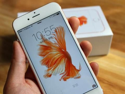 印度兄弟看哭了！iPhone6S全面來襲 價格竟然是全球最貴