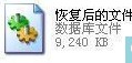 恢復(fù)后的文件