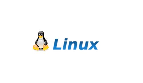 Linux修復(fù),Linux自動(dòng)檢查