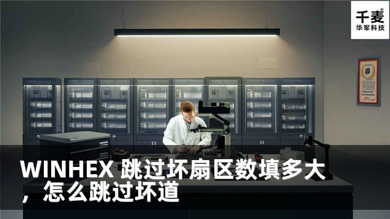 WINHEX 跳過壞扇區(qū)數(shù)填多大，怎么跳過壞道