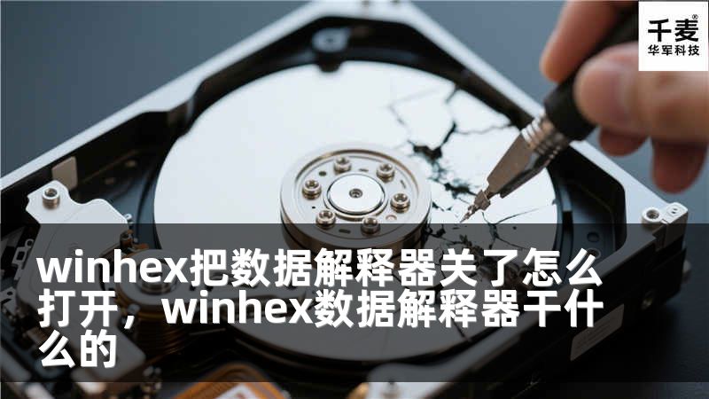 winhex把數(shù)據(jù)解釋器關了怎么打開，winhex數(shù)據(jù)解釋器干什么的