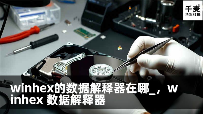 winhex的數(shù)據(jù)解釋器在哪_，winhex 數(shù)據(jù)解釋器