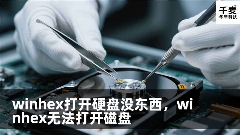 winhex打開硬盤沒東西，winhex無法打開磁盤