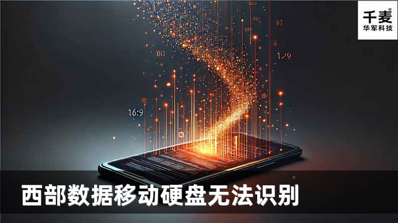 西部數(shù)據(jù)移動(dòng)硬盤無法識別