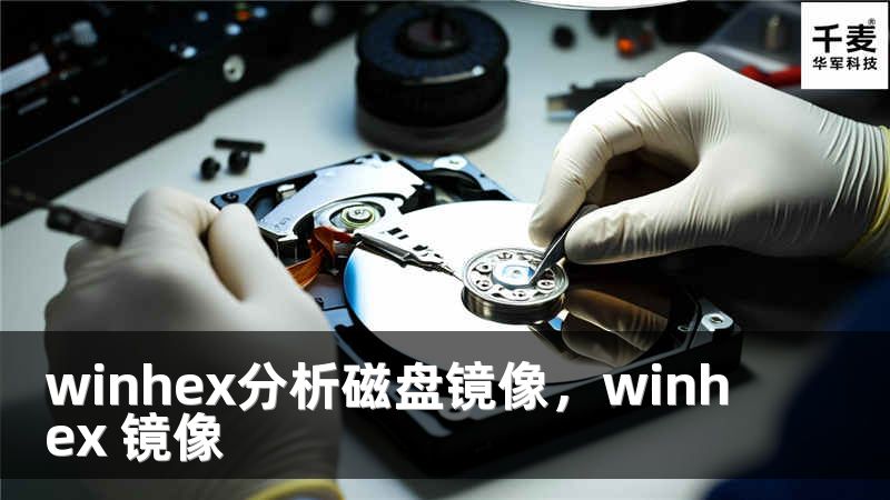 winhex分析磁盤鏡像，winhex 鏡像