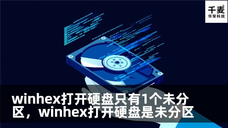 winhex打開硬盤只有1個(gè)未分區(qū)，winhex打開硬盤是未分區(qū)