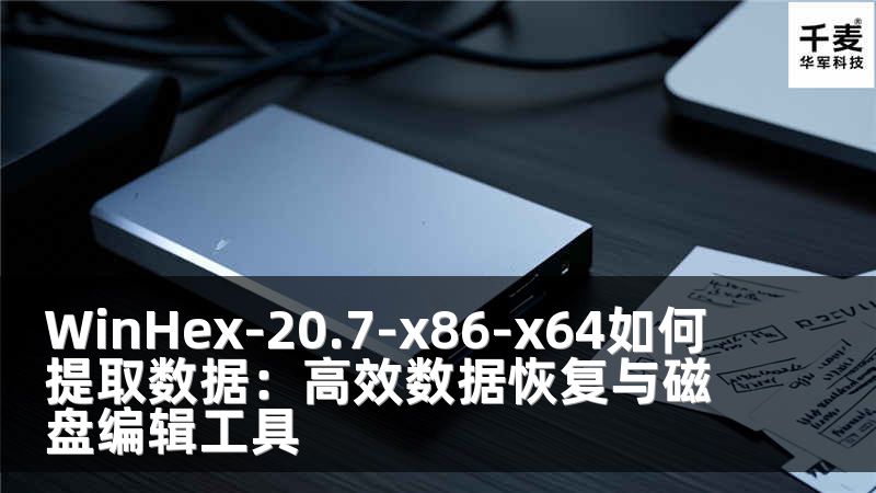 WinHex-20.7-x86-x64如何提取數(shù)據(jù)：高效數(shù)據(jù)恢復(fù)與磁盤編輯工具