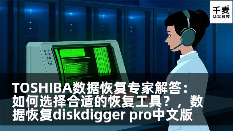 TOSHIBA數(shù)據(jù)恢復(fù)專家解答：如何選擇合適的恢復(fù)工具？，數(shù)據(jù)恢復(fù)diskdigger pro中文版