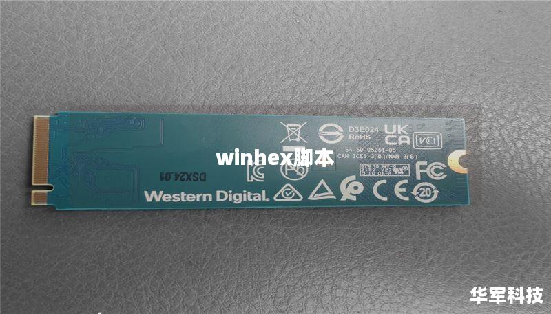 winhex腳本