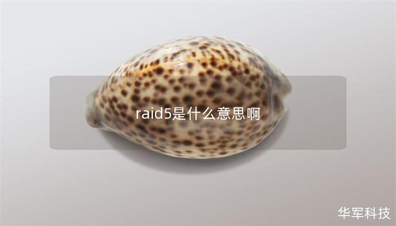 raid5是什么意思啊