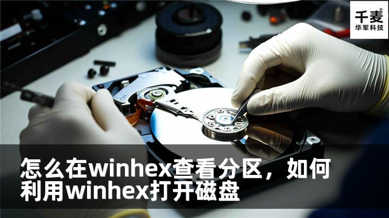 怎么在winhex查看分區(qū)，如何利用winhex打開磁盤