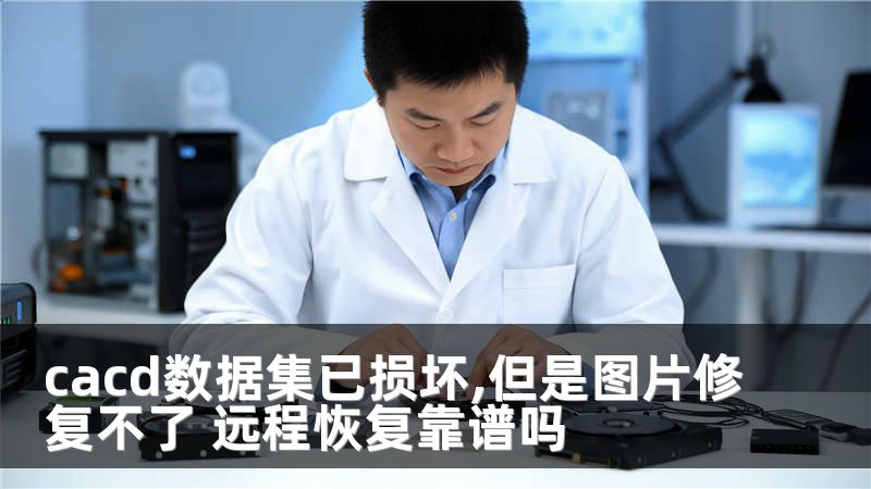 cacd數(shù)據(jù)集已損壞,但是圖片修復(fù)不了 遠(yuǎn)程恢復(fù)靠譜嗎