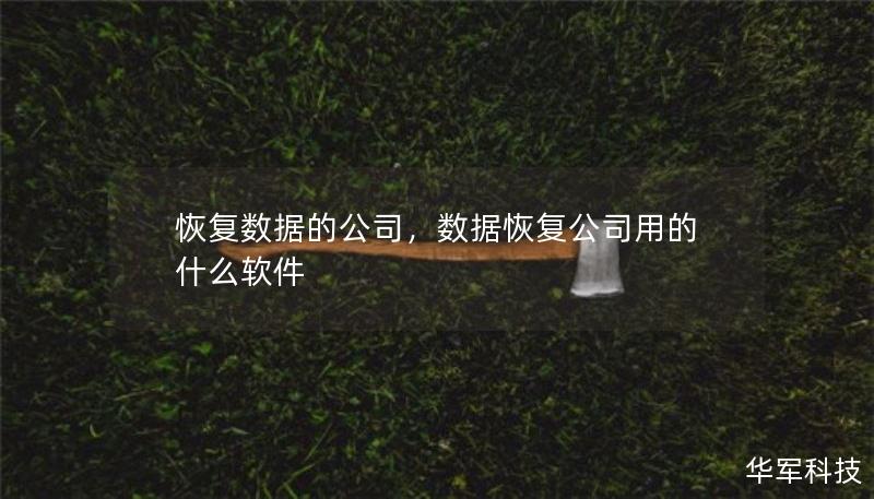 恢復(fù)數(shù)據(jù)的公司，數(shù)據(jù)恢復(fù)公司用的什么軟件