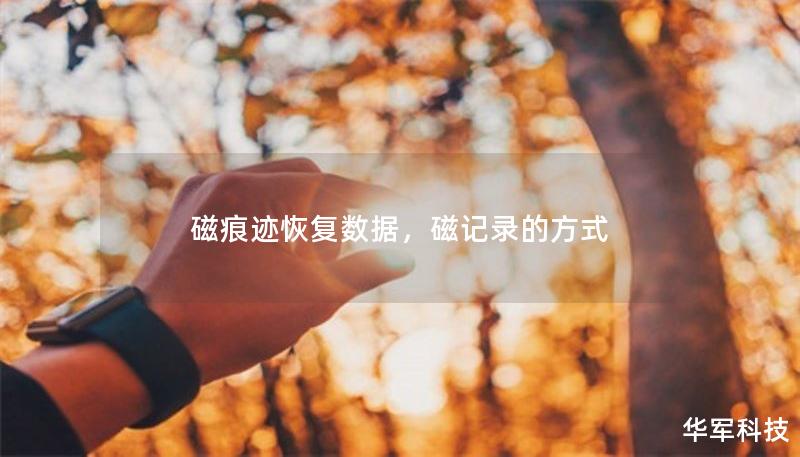 磁痕跡恢復(fù)數(shù)據(jù)，磁記錄的方式