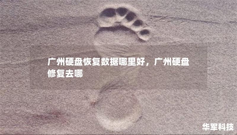 廣州硬盤恢復(fù)數(shù)據(jù)哪里好，廣州硬盤修復(fù)去哪