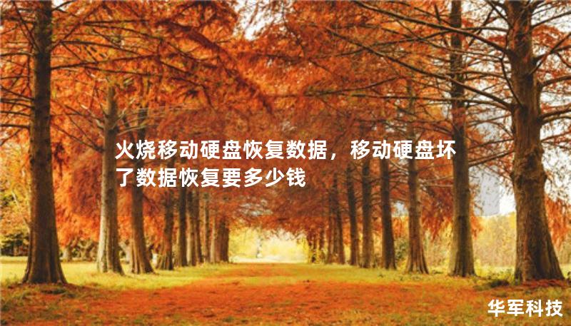 火燒移動硬盤恢復(fù)數(shù)據(jù)，移動硬盤壞了數(shù)據(jù)恢復(fù)要多少錢