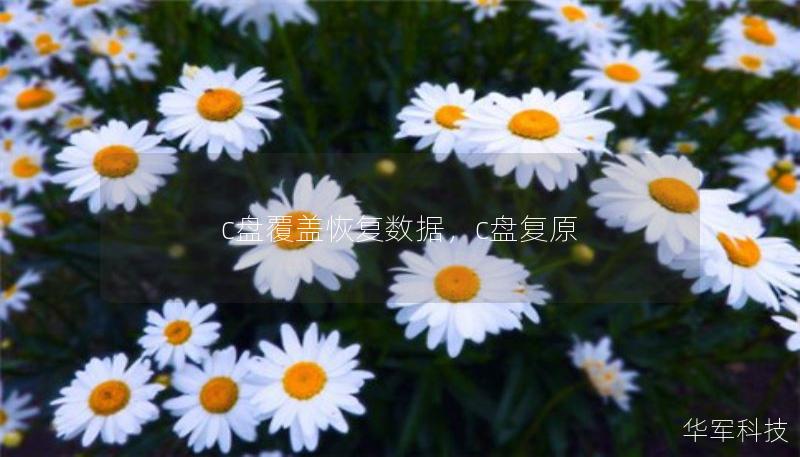 c盤覆蓋恢復(fù)數(shù)據(jù)，c盤復(fù)原