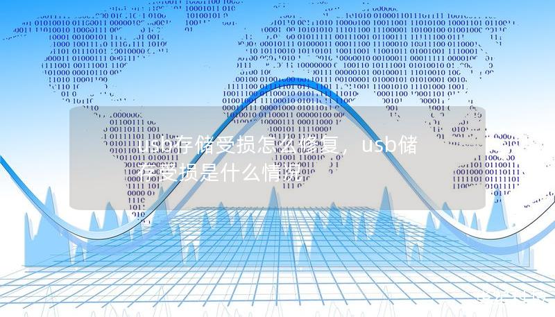 usb存儲受損怎么修復(fù)，usb儲存受損是什么情況
