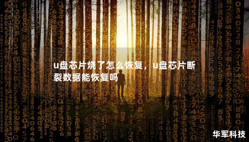u盤芯片燒了怎么恢復(fù)，u盤芯片斷裂數(shù)據(jù)能恢復(fù)嗎