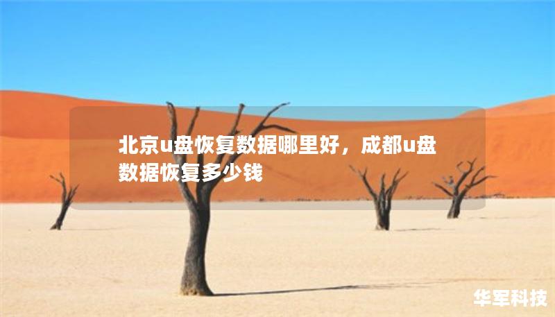 北京u盤恢復(fù)數(shù)據(jù)哪里好，成都u盤數(shù)據(jù)恢復(fù)多少錢