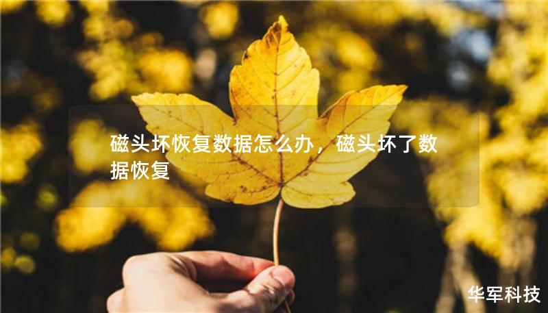磁頭壞恢復(fù)數(shù)據(jù)怎么辦，磁頭壞了數(shù)據(jù)恢復(fù)