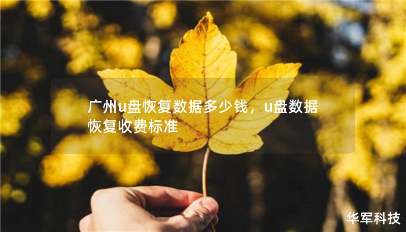 廣州u盤恢復(fù)數(shù)據(jù)多少錢，u盤數(shù)據(jù)恢復(fù)收費(fèi)標(biāo)準(zhǔn)