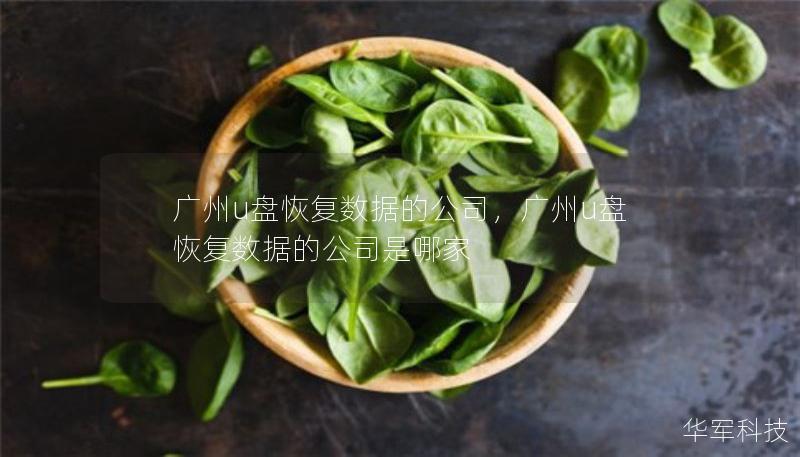 廣州u盤恢復(fù)數(shù)據(jù)的公司，廣州u盤恢復(fù)數(shù)據(jù)的公司是哪家