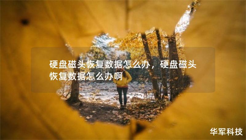 硬盤磁頭恢復(fù)數(shù)據(jù)怎么辦，硬盤磁頭恢復(fù)數(shù)據(jù)怎么辦啊