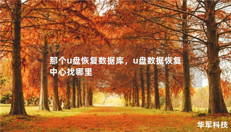 那個(gè)u盤恢復(fù)數(shù)據(jù)庫，u盤數(shù)據(jù)恢復(fù)中心找哪里