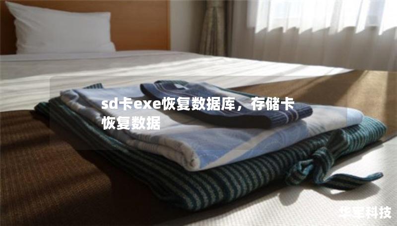 sd卡exe恢復(fù)數(shù)據(jù)庫，存儲卡 恢復(fù)數(shù)據(jù)