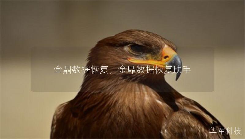 金鼎數(shù)據(jù)恢復，金鼎數(shù)據(jù)恢復助手