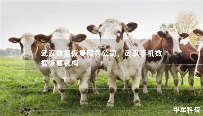 武漢數(shù)據(jù)恢復(fù)服務(wù)公司，武漢手機數(shù)據(jù)恢復(fù)機構(gòu)