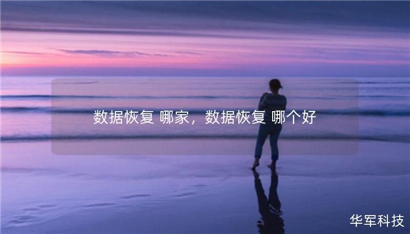 數(shù)據(jù)恢復(fù) 哪家，數(shù)據(jù)恢復(fù) 哪個(gè)好
