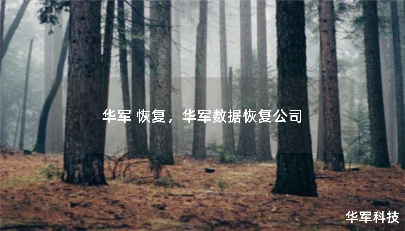 華軍 恢復(fù)，華軍數(shù)據(jù)恢復(fù)公司