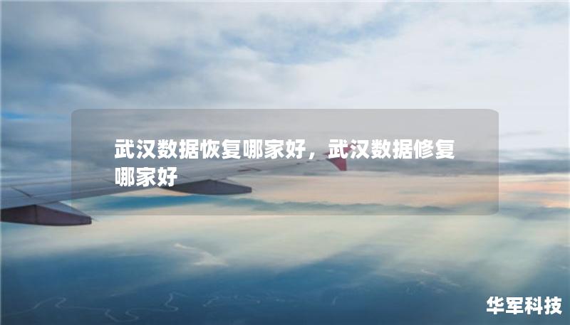 武漢數(shù)據(jù)恢復(fù)哪家好，武漢數(shù)據(jù)修復(fù)哪家好