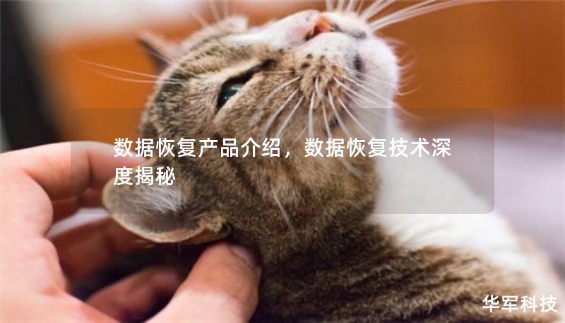數(shù)據(jù)恢復(fù)產(chǎn)品介紹，數(shù)據(jù)恢復(fù)技術(shù)深度揭秘