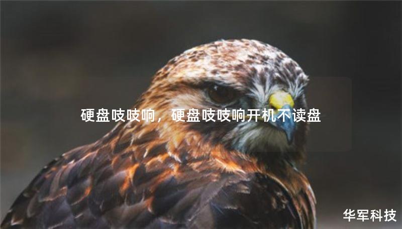 硬盤吱吱響，硬盤吱吱響開機(jī)不讀盤